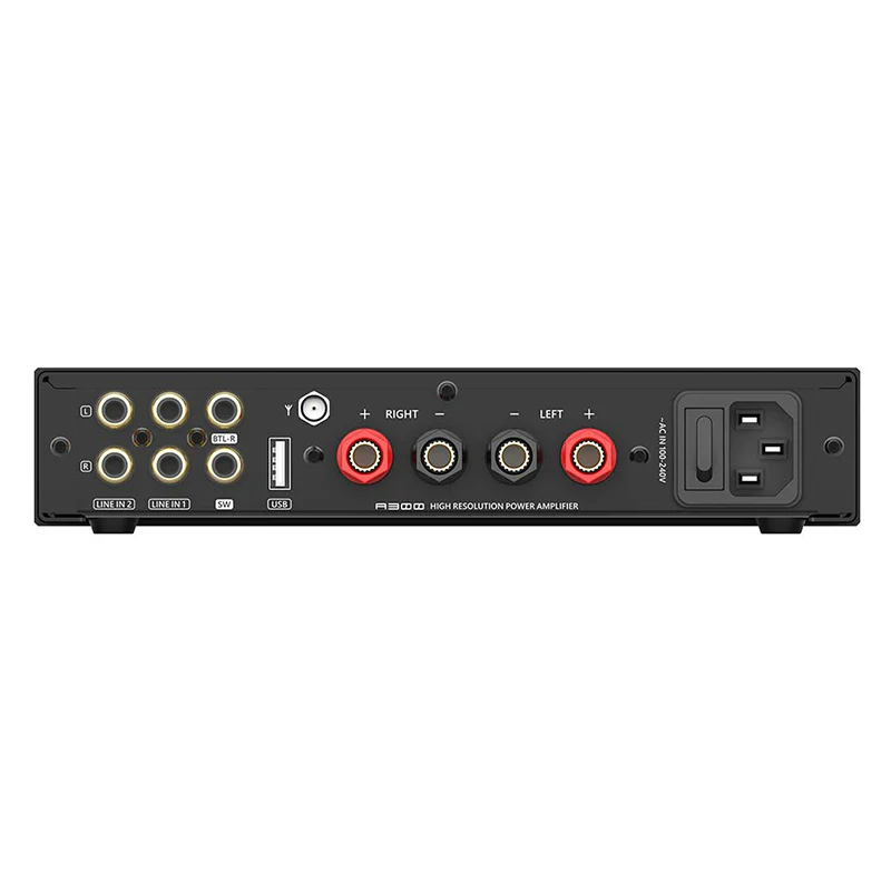 SMSL A300 - Image 5